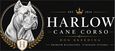 Harlow Cane Corso logo