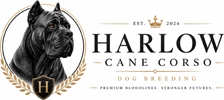 Harlow Cane Corso logo
